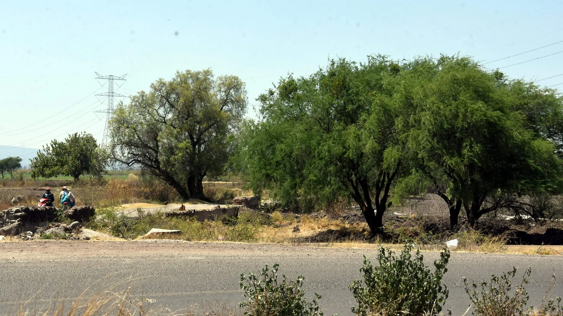 REFORESTACION JESUS GTZ EL SOL DE IRAPUATO (1)